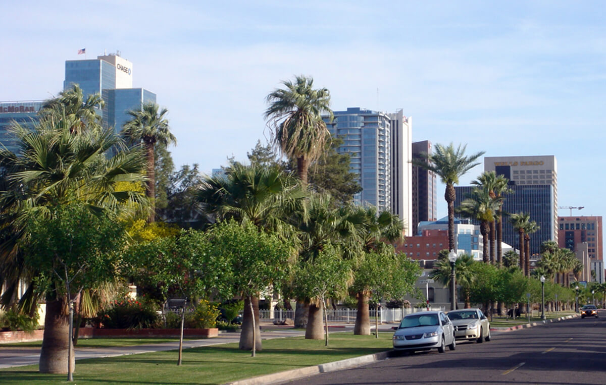Photo of the 2nd Street streetscape in downtown Phoenix. The sidewalks are lined with mature palms, new shade trees, and lush turf.