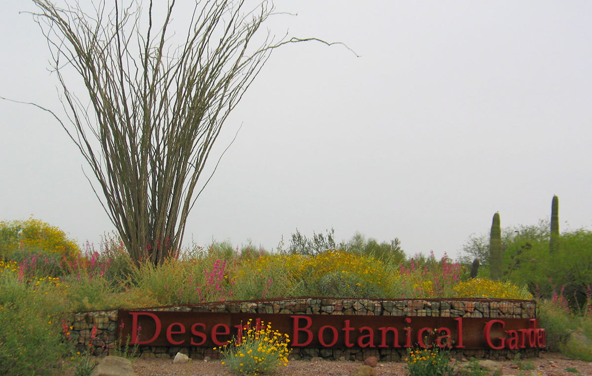 Photo of the entry to the Desert Botanical Garden. A low, curved gabion wall supports a long, low metal sign reading "Desert Botanical Garden". It is surrounded by a flowering naturalistic landscape.