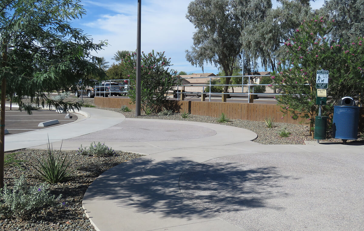 Photo of the landscape next to a parking lot. A short brown concrete retaining wall is in the background. In the foreground, the asphalt connects to a sidewalk, which connects to a large circular paved space. Around the pavement are native trees and desert-adapted shrubs.