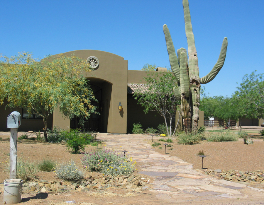 Image of a stucco house with a flagstone path leading to the front door. A drainage swale lined with rock crisscrosses the yard. Native trees provide shade, and cactuses and native perennials dot the yard.