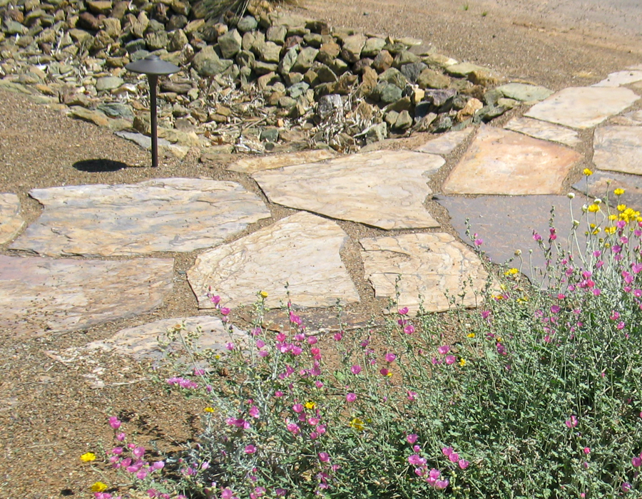 Image of a path made of flagstone pavers flanked by low-growing native perennial flowers.